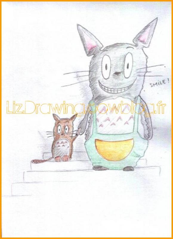 http://liz.drawing.cowblog.fr/images/dessinspublies/Totoro-copie-1.jpg