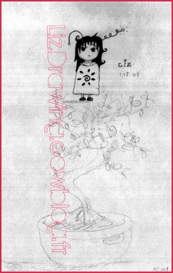 http://liz.drawing.cowblog.fr/images/dessinspublies/bonsaiLiz.jpg